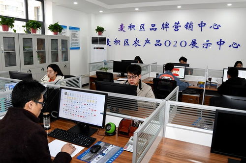 天水市麥積區(qū)電子商務(wù)公共服務(wù)中心揭牌運(yùn)營，助力個(gè)人商務(wù)發(fā)展