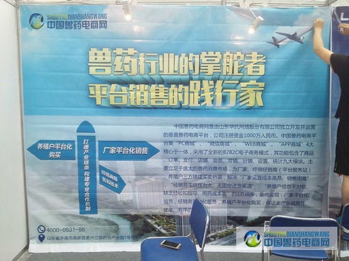 中國(guó)獸藥電商網(wǎng)亮相2016國(guó)際電子商務(wù)服務(wù)產(chǎn)業(yè)博覽會(huì)，引領(lǐng)個(gè)人商務(wù)服務(wù)新趨勢(shì)